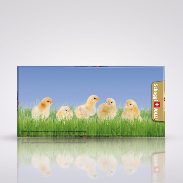 Frühling, Küken